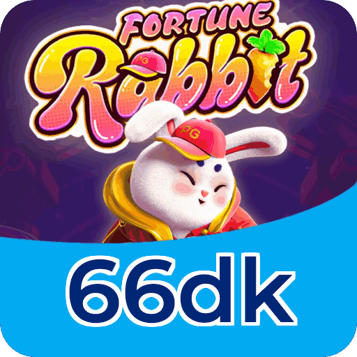 Comparação detalhada APP 66dk vs versão web